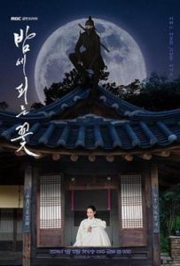 韩剧夜晚开的花  (2024)