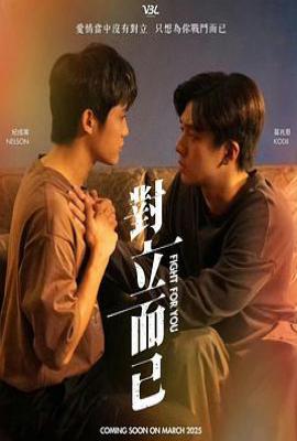 台剧对立而已 對立而已 (2025)