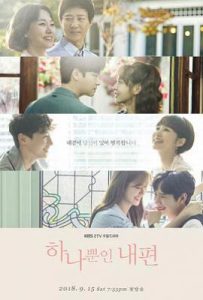 韩剧我唯一的拥护者/我唯一的守护者 하나뿐인 내편 (2018)