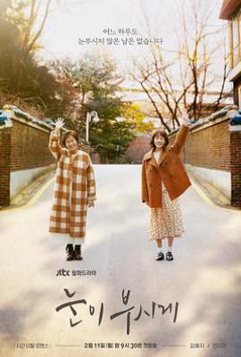 韩剧耀眼 눈이 부시게 (2019)