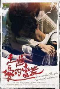 台剧走过爱的荒蛮(2022)