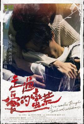 台剧走过爱的荒蛮(2022)