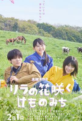 日剧丁香花开的兽道 リラの花咲くけものみち (2025)