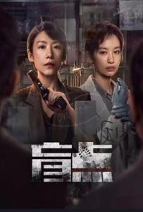 盲点 (2025)