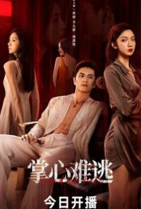 掌心难逃 (2025)