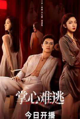 掌心难逃 (2025)