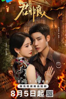 君非良人 (2025)