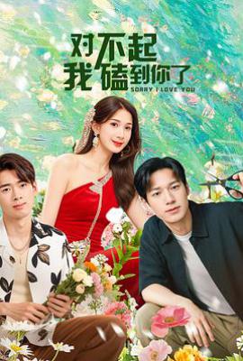 对不起，我磕到你了 (2025)